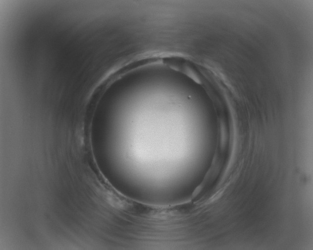X0000083591165200702091146