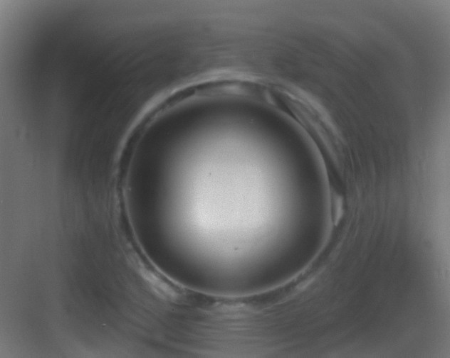 X0000083591168200702091146