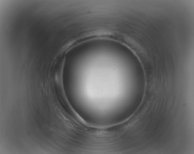 X0000083591169200702091146
