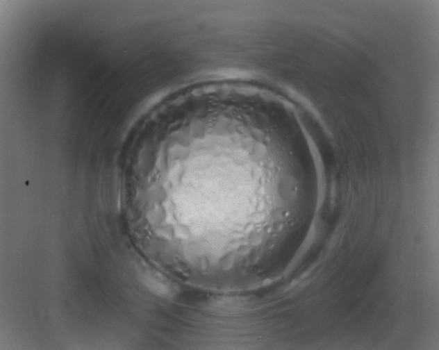X0000083591171200702091146