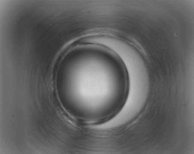 X0000083591172200702091145