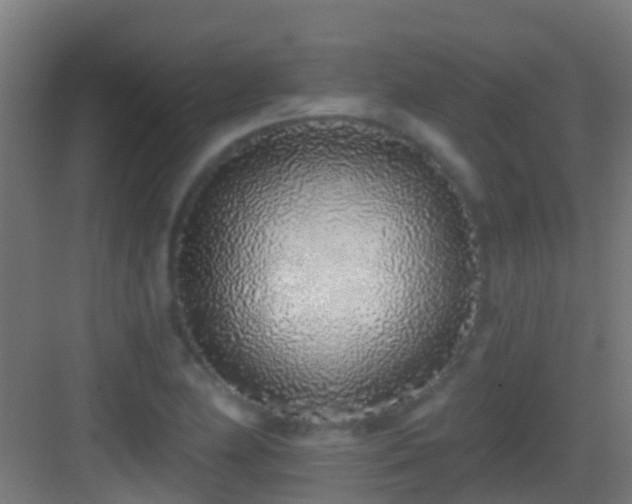X0000083591174200702091145