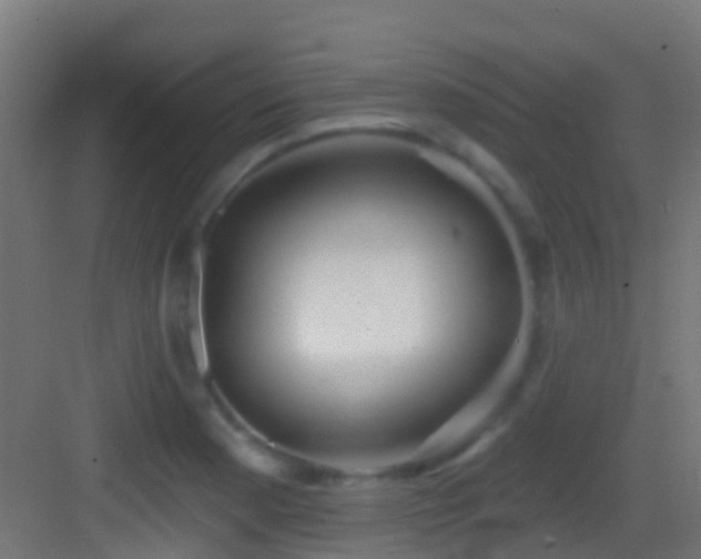 X0000083591177200702091145