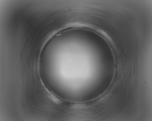 X0000083591183200702091145