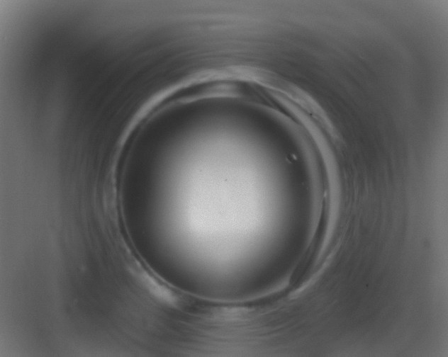 X0000083591184200702091145