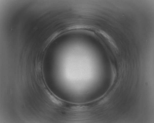 X0000083591185200702091145