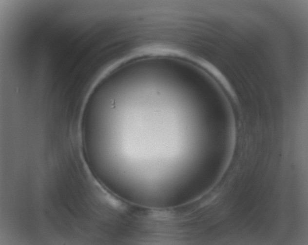 X0000083591191200702091145