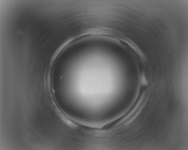 X0000083591196200702091145