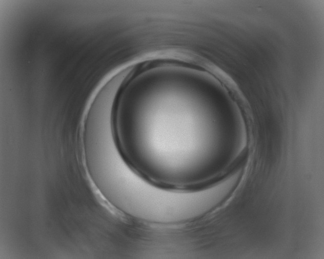 X0000083591200200702091145