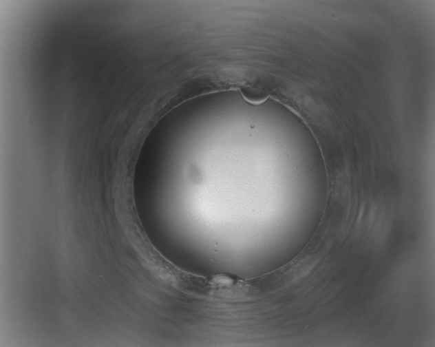 X0000083591201200702091144