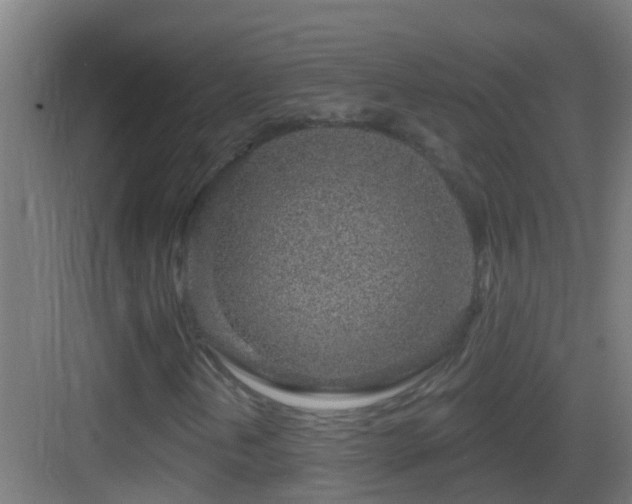 X0000083591202200702091144