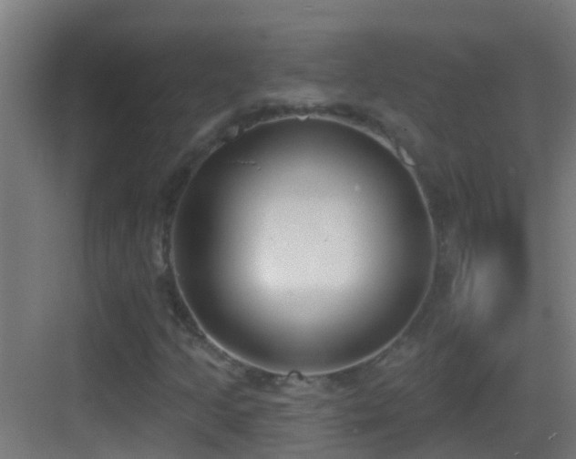 X0000083591205200702091144