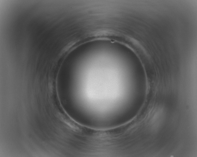 X0000083591217200702091144
