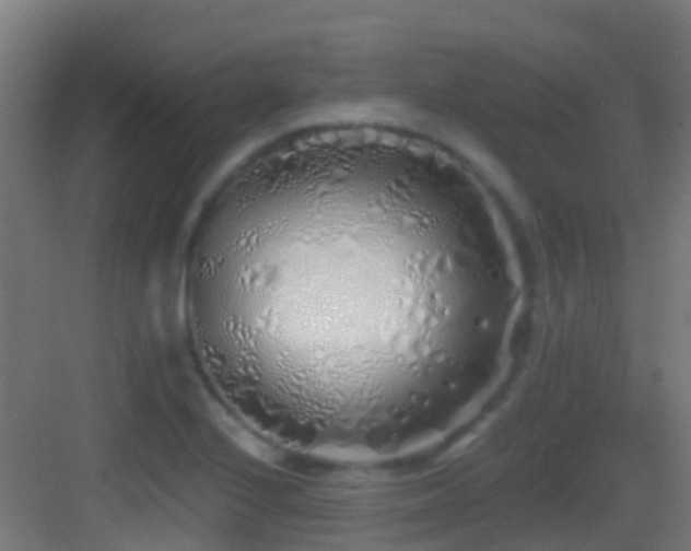 X0000083591224200702091145
