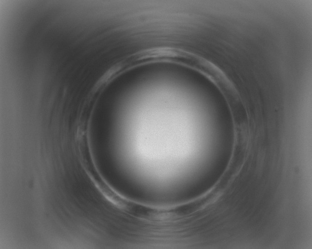 X0000083591225200702091145