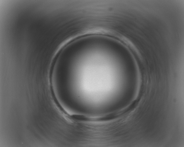 X0000083591230200702091145