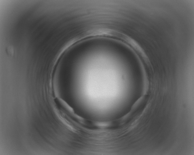 X0000083591234200702091145