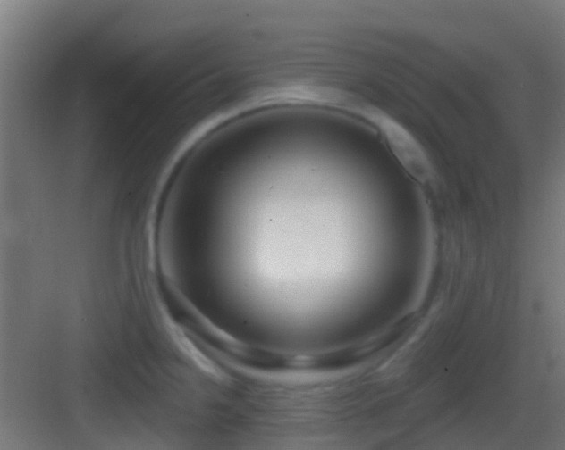 X0000083591238200702091145
