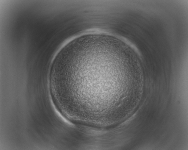 X0000083591239200702091145