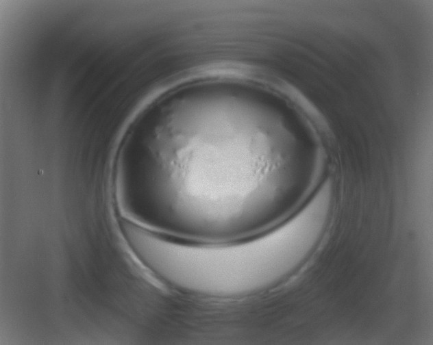 X0000083591240200702091145