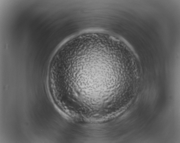 X0000083591245200702091145