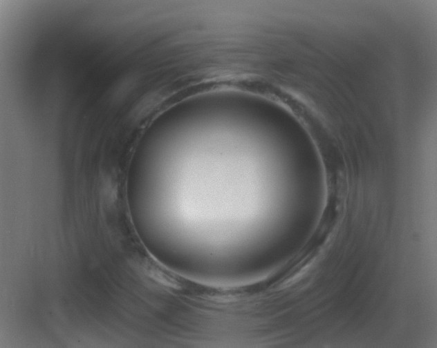 X0000083591257200702091144