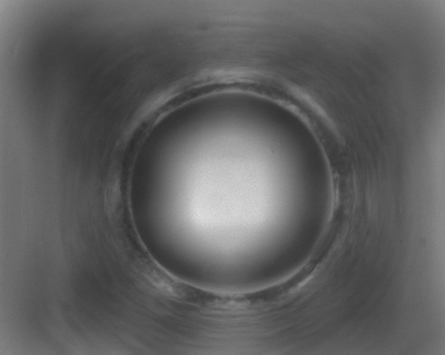 X0000083591261200702091144