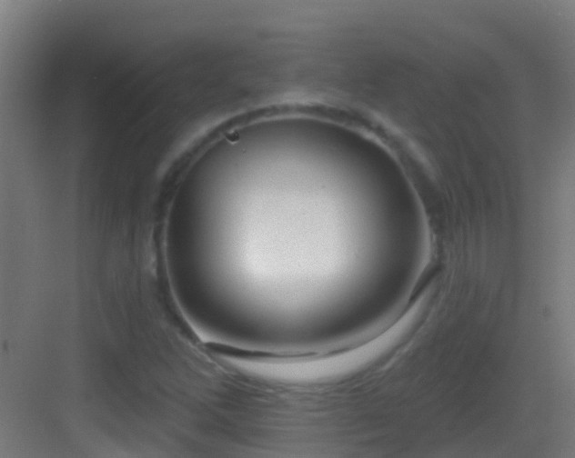 X0000083591262200702091144