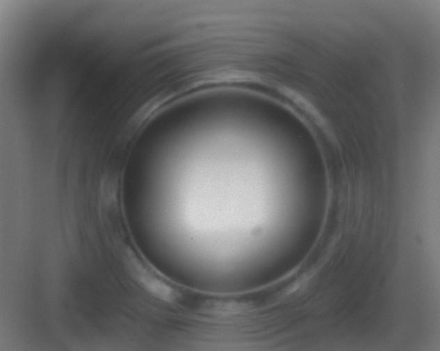 X0000083591273200702091144