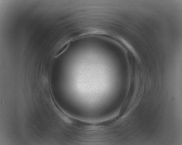 X0000083591281200702091144