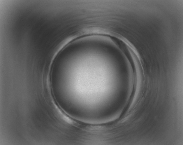 X0000083591293200702091143