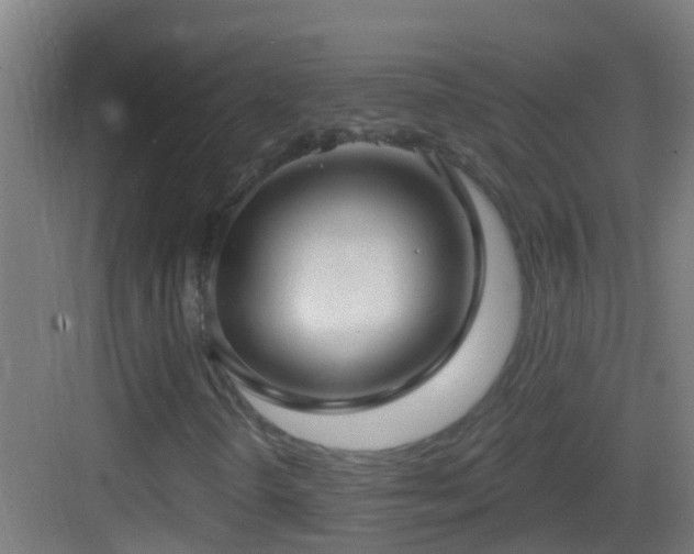 X0000083591298200702091143