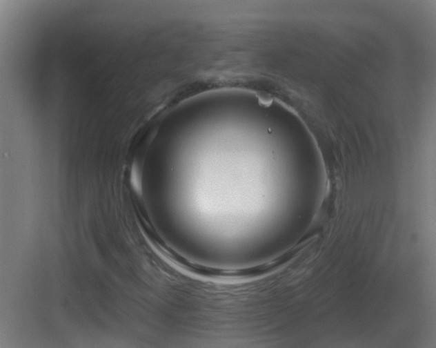 X0000083591300200702091143