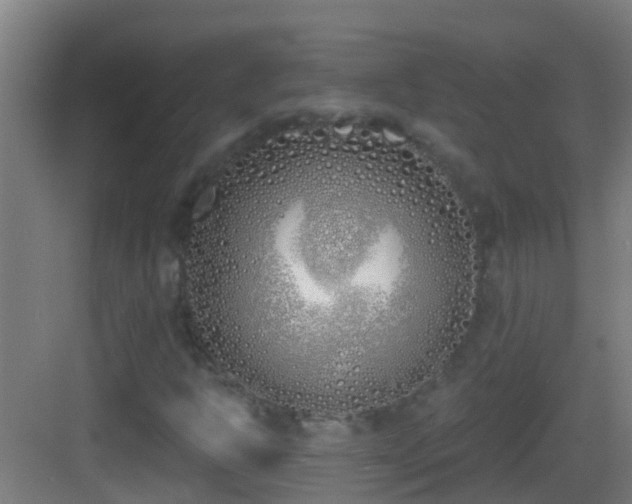 X0000083591302200702091143