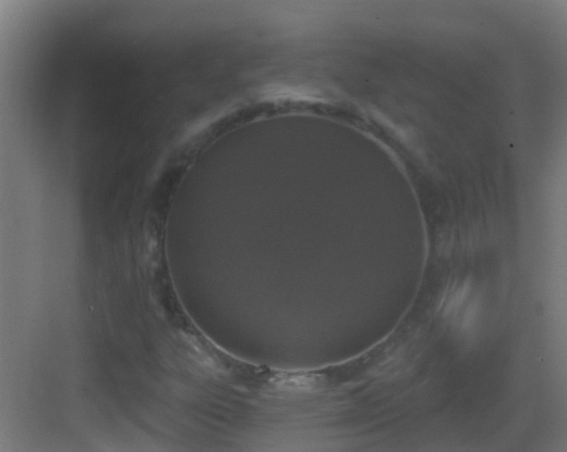 X0000083591303200702091143