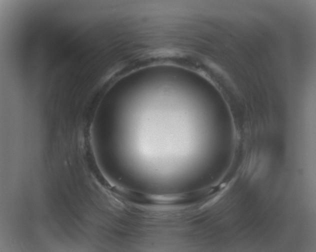 X0000083591305200702091143
