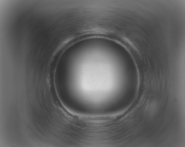 X0000083591307200702091143