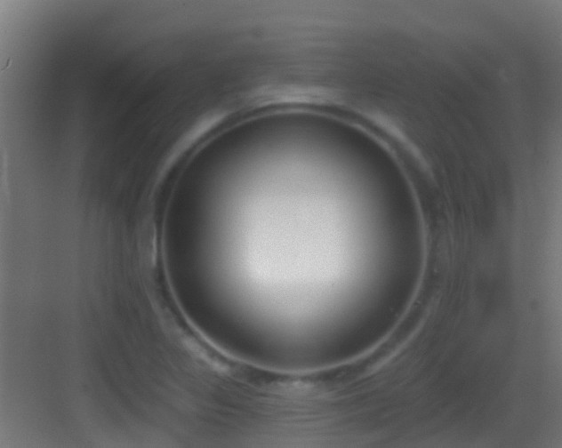 X0000083591317200702091143