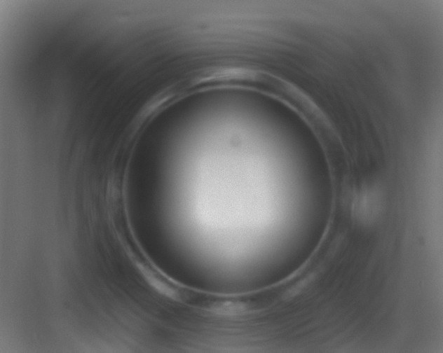 X0000083591321200702091143