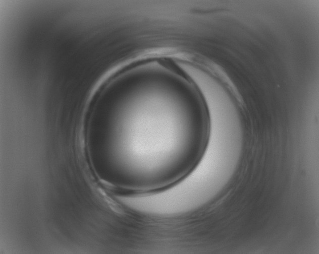 X0000083591328200702091143
