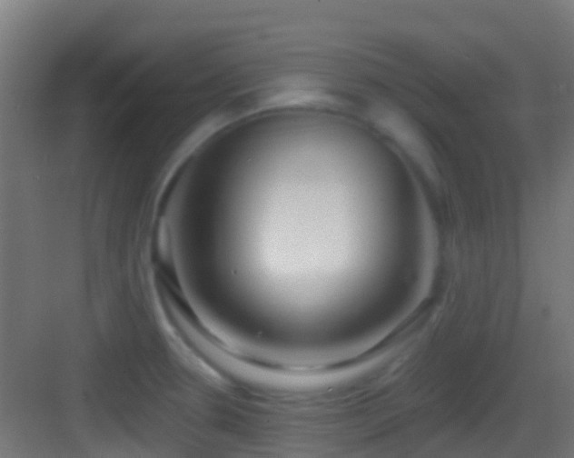 X0000083591330200702091143