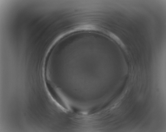 X0000083591334200702091143