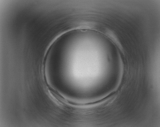 X0000083591340200702091143