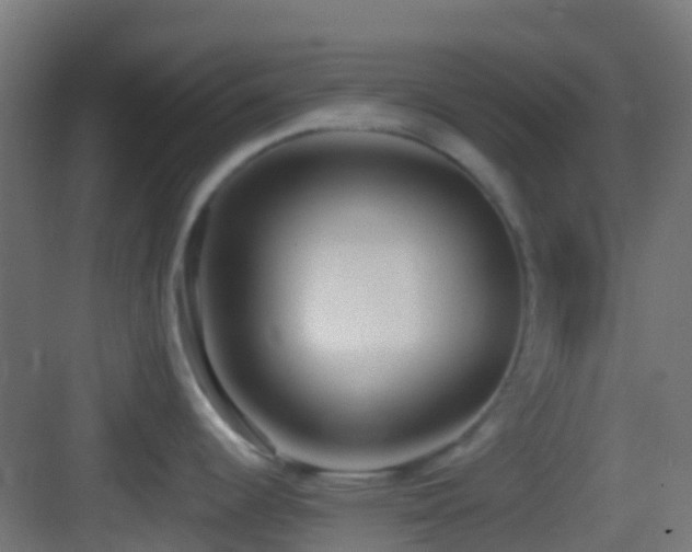 X0000083591344200702091143