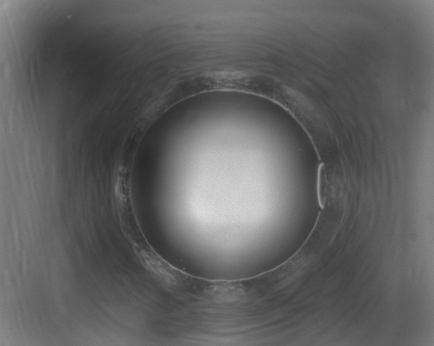 X0000083591346200702091143