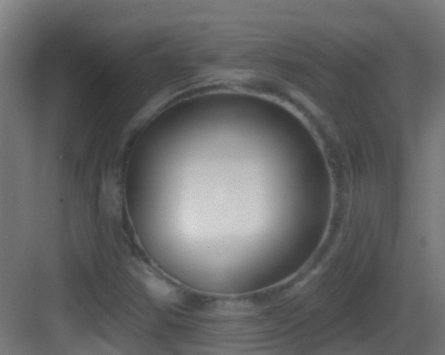 X0000083591354200702091142
