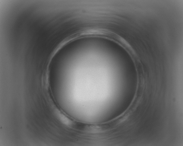 X0000083591370200702091142