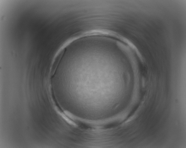 X0000083591373200702091142