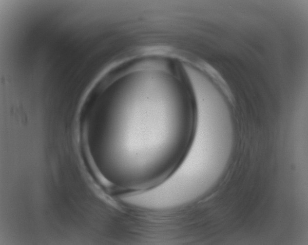 X0000083591376200702091142