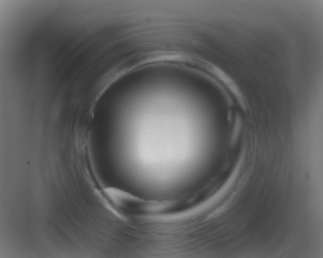 X0000083591377200702091142